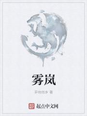 雾岚攻坚战奖励